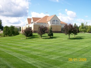 Lawn Care Services Bloomington