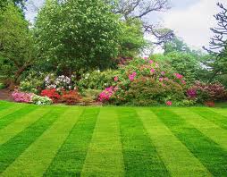 Commercial Lawn Care Minneapolis