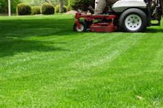 Commercial Lawn Care Minnetonka