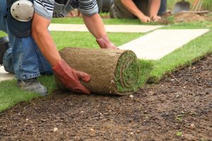 advanced irrigation lawn care services bloomington
