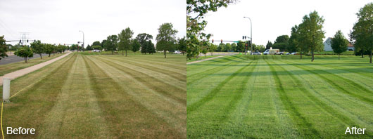 Commercial Front Lawn Care