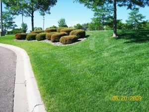 Landscaping Companies Monticello