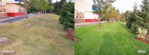 Commercial Lawn Care Greenfield