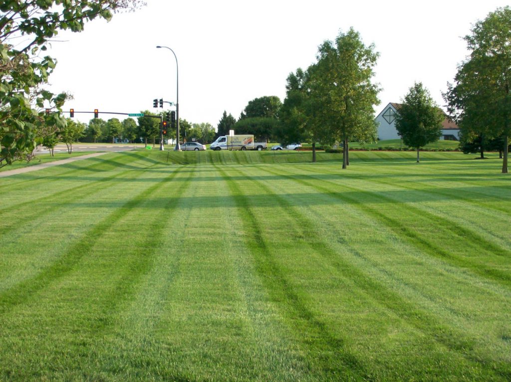 Commercial Lawn Care Greenfield Professional Landscapers