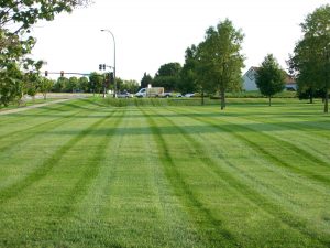 Commercial Lawn Care Greenfield