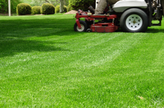 Lawn Care Minnetonka