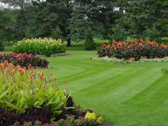 lawn care services