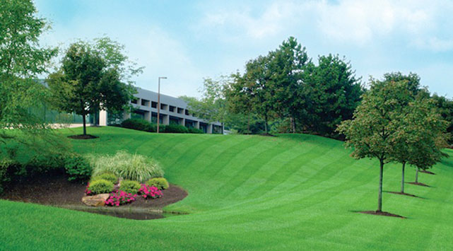 Retaining Walls Twin Cities