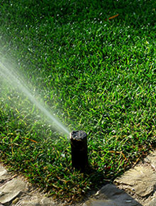 sprinkler system installation