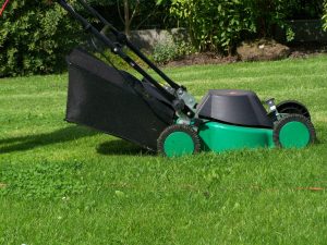 lawn care services 