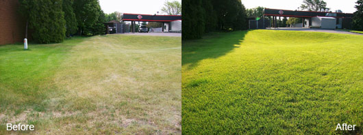 Store Front Lawn Care