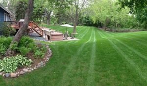 Landscape Design Minnetonka