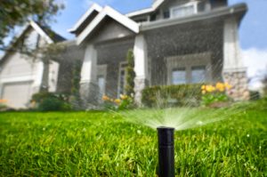 sprinkler system installation