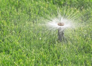 lawn sprinkler systems